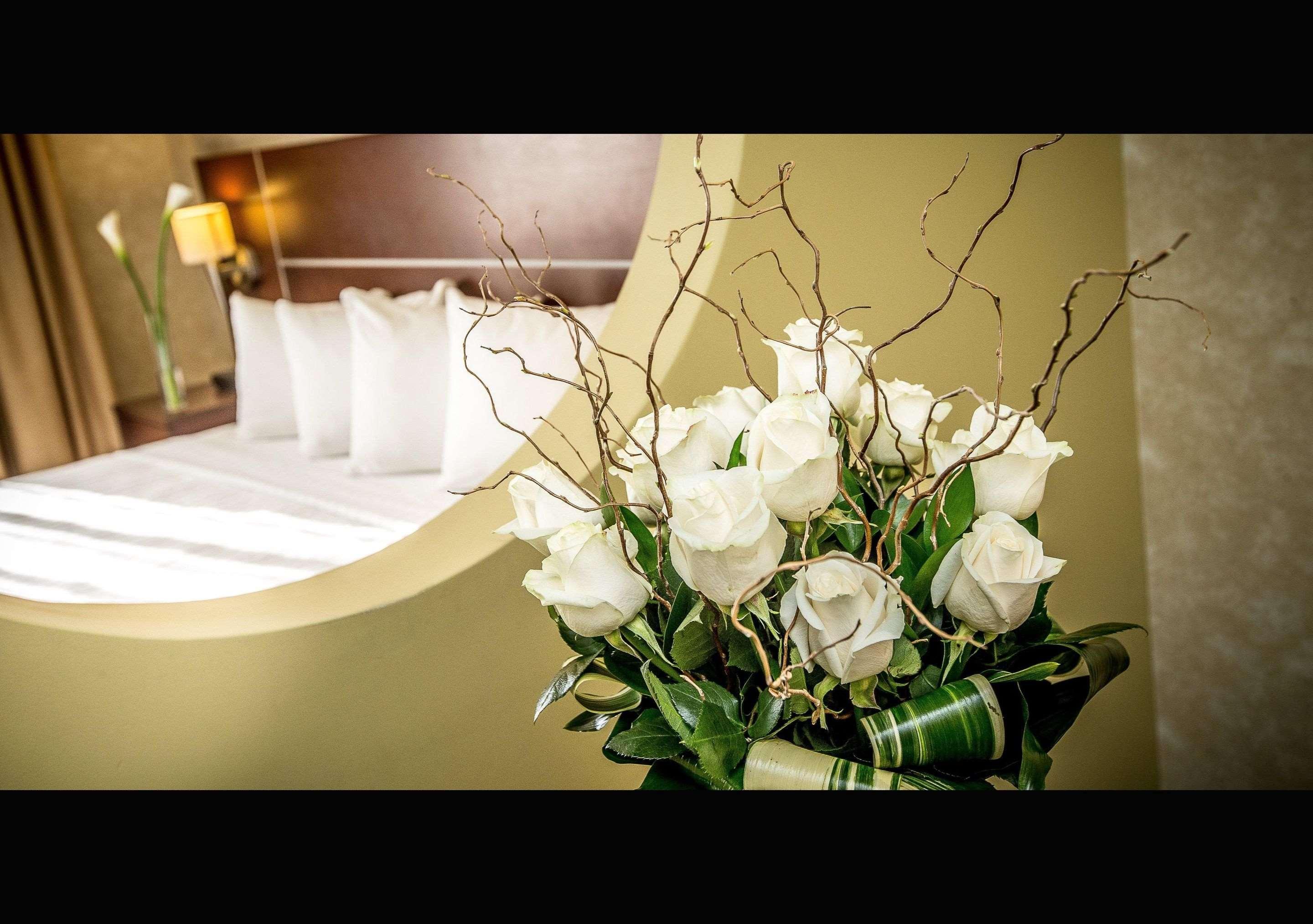 Quality & Hotel